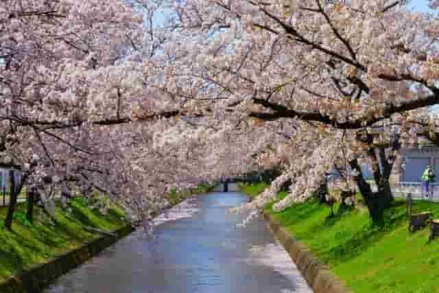 岩倉市のイメージ画像